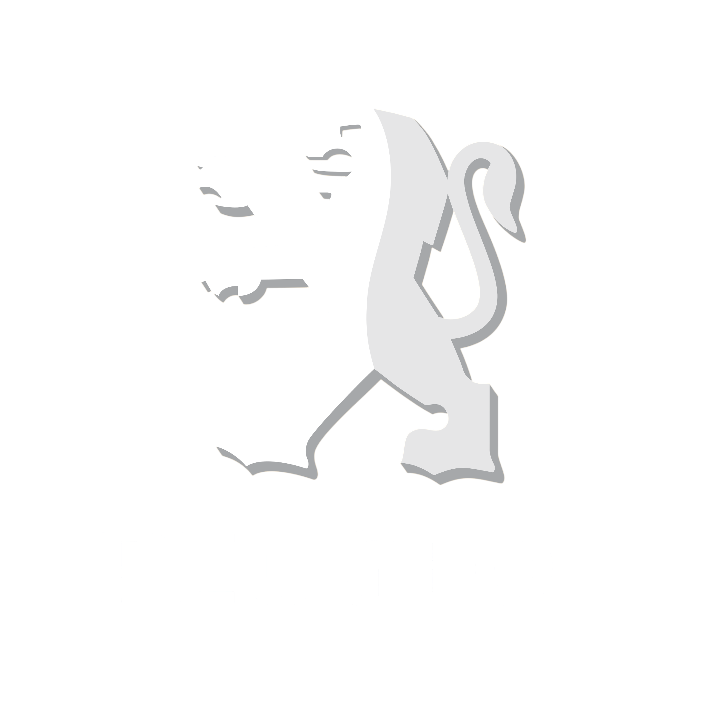 Тюнинг автосвета Peugeot в Могилеве